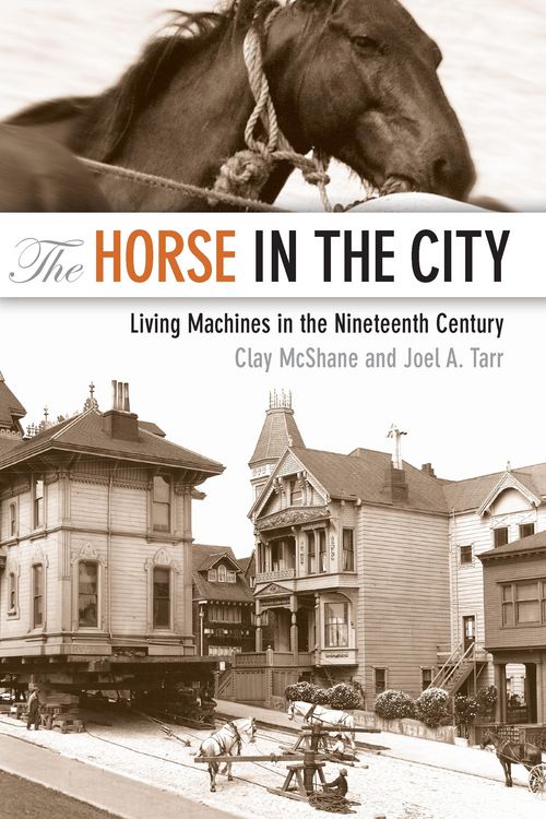 Produktbild: Horse in the City