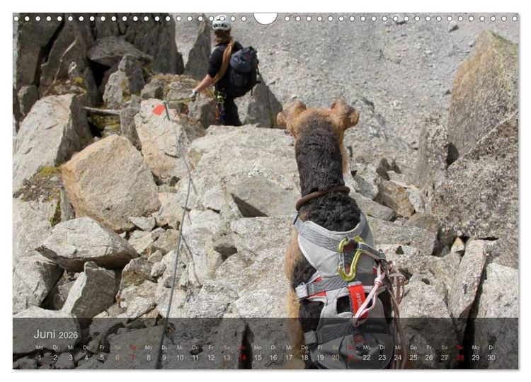Produktbild: Der Bergdale - mit Hund im Hochgebirge (Wandkalender 2026 DIN A3 quer), CALVENDO Monatskalender