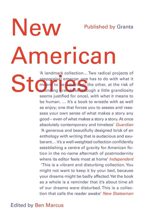 Produktbild: New American Stories