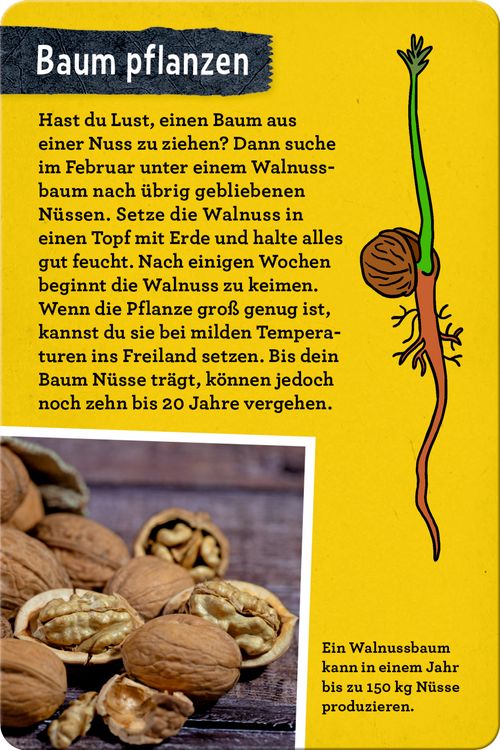 Produktbild: 50 B&auml;ume kennen & erleben