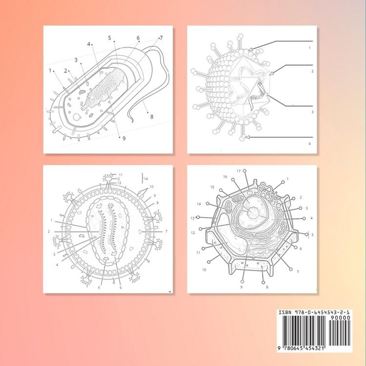 Produktbild: Microbiology Coloring Book with Facts & MCQs (Multiple Choice Questions)