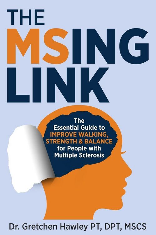Produktbild: The MSing Link