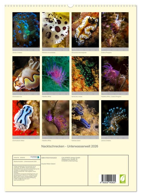 Produktbild: Nacktschnecken - Unterwasserwelt 2026 (hochwertiger Premium Wandkalender 2026 DIN A2 hoch), Kunstdruck in Hochglanz