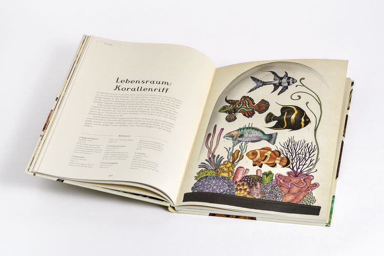 Produktbild: Das Museum der Tiere