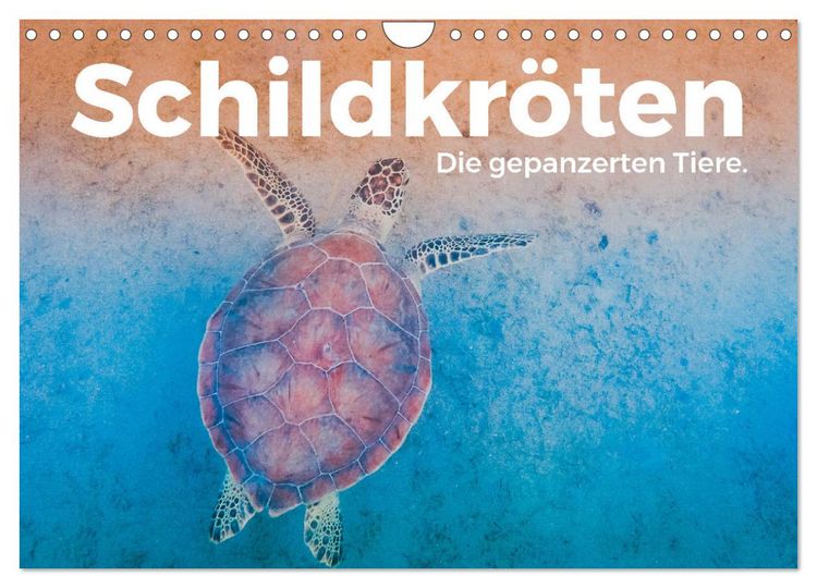 Produktbild: Schildkr&ouml;ten - Die gepanzerten Tiere. (Wandkalender 2026 DIN A4 quer), CALVENDO Monatskalender