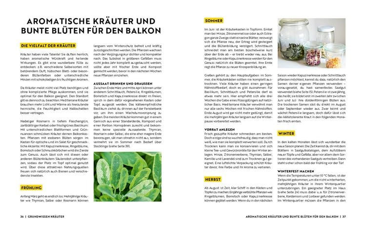 Produktbild: Gartenmomente: Balkongarten