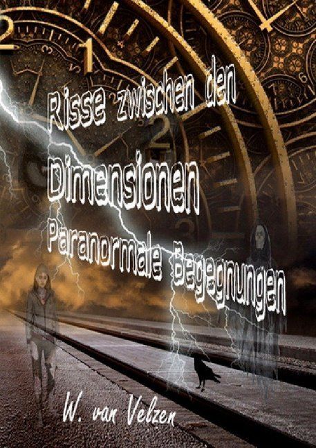 Produktbild: Risse zwischen den Dimensionen - Paranormale Begegnungen