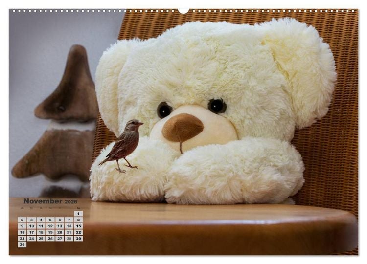 Produktbild: Teddys, wollen wir Kalender anschauen? (Wandkalender 2026 DIN A2 quer), CALVENDO Monatskalender