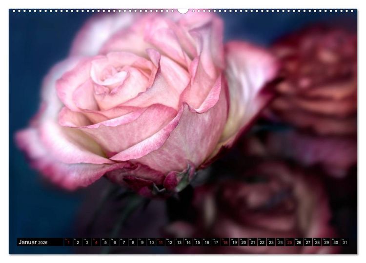 Produktbild: Flowers / 2026 (hochwertiger Premium Wandkalender 2026 DIN A2 quer), Kunstdruck in Hochglanz