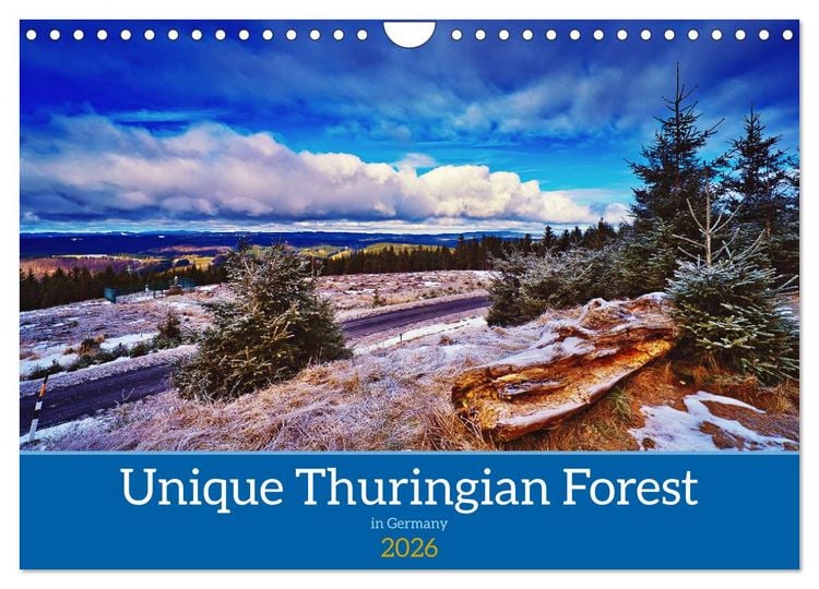 Produktbild: Unique Thuringian Forest (Wall Calendar 2026 DIN A4 landscape), CALVENDO 12 Month Wall Calendar