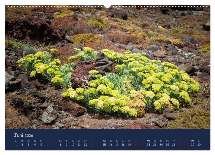 Produktbild: Naturwunder Madeira (hochwertiger Premium Wandkalender 2026 DIN A2 quer), Kunstdruck in Hochglanz