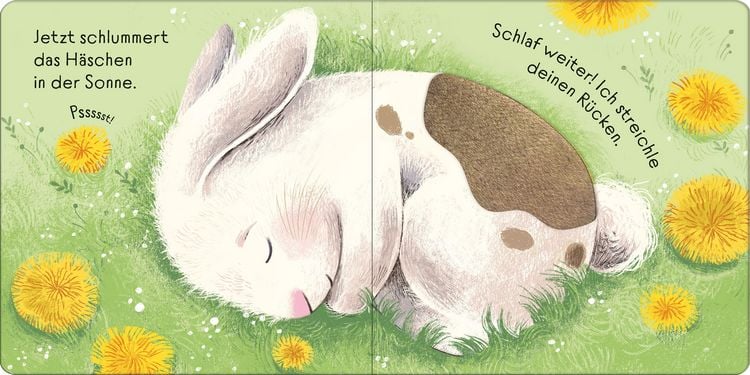 Produktbild: Streichle das kleine H&auml;schen
