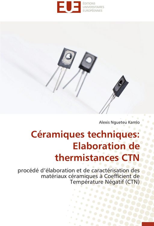 Produktbild: C&eacute;ramiques techniques: Elaboration de thermistances CTN