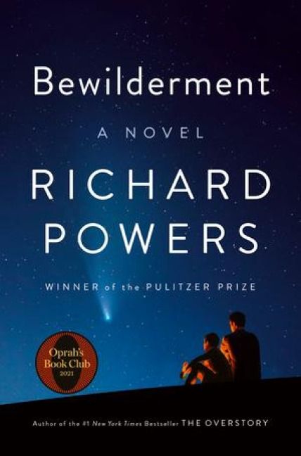 Produktbild: Bewilderment