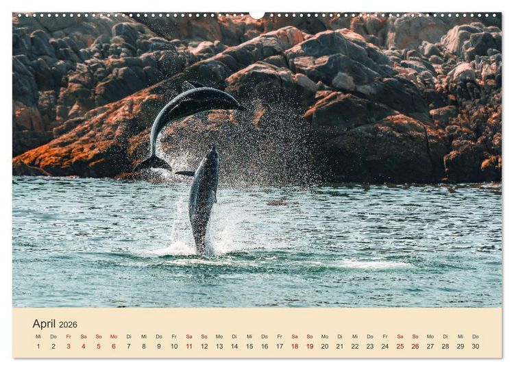Produktbild: OMAN - Orientperle (Wandkalender 2026 DIN A2 quer), CALVENDO Monatskalender