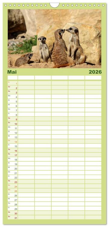 Produktbild: Familienplaner 2026 - Erdm&auml;nnchen mit 5 Spalten (Wandkalender, 21 x 45 cm) CALVENDO