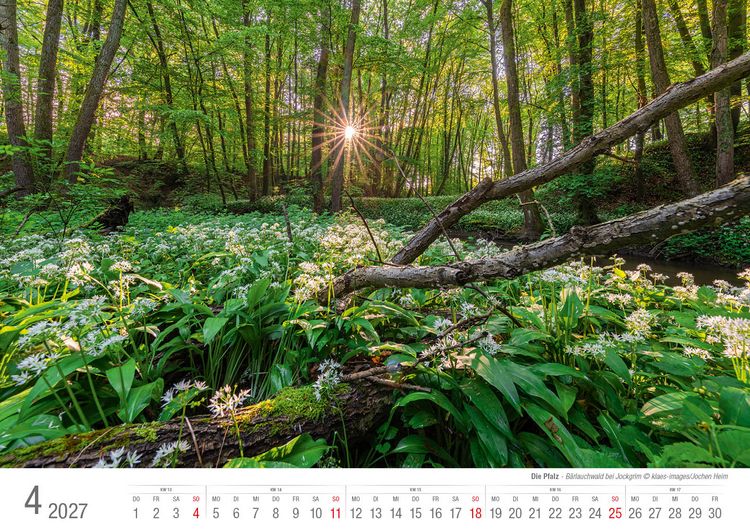 Produktbild: Die Pfalz 2027 Bildkalender A3 Spiralbindung