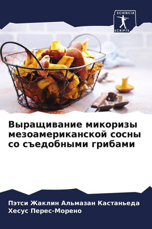 Produktbild: Vyraschiwanie mikorizy mezoamerikanskoj sosny so s#edobnymi gribami