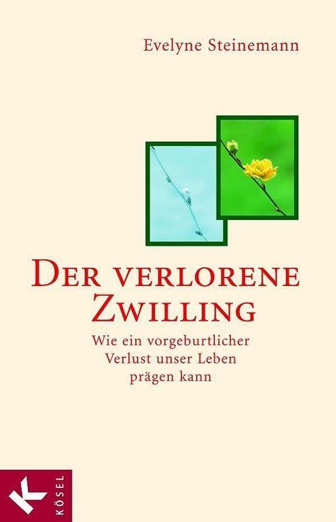 Produktbild: Der verlorene Zwilling