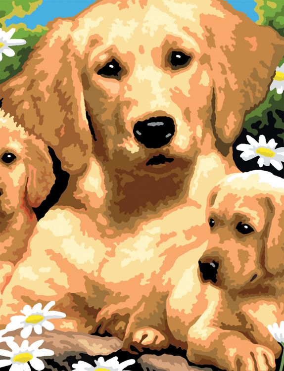 Produktbild: PRACHT Malen nach Zahlen Junior Hundewelpen