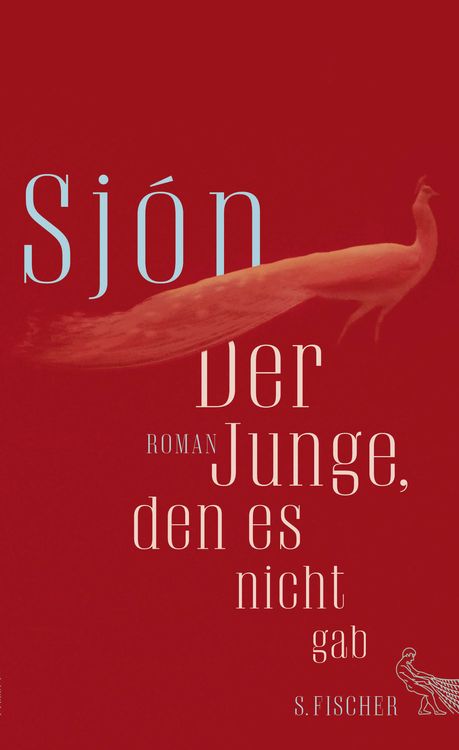 Produktbild: Der Junge, den es nicht gab