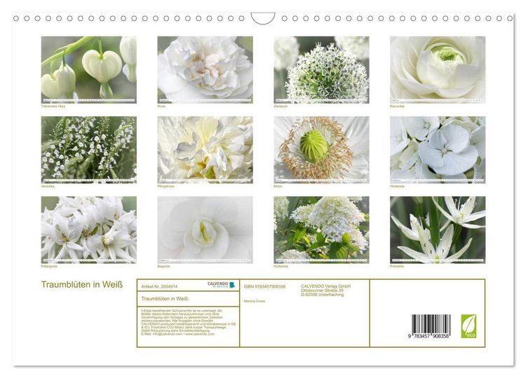 Produktbild: Traumbl&uuml;ten in Wei&szlig; (Wandkalender 2026 DIN A3 quer), CALVENDO Monatskalender