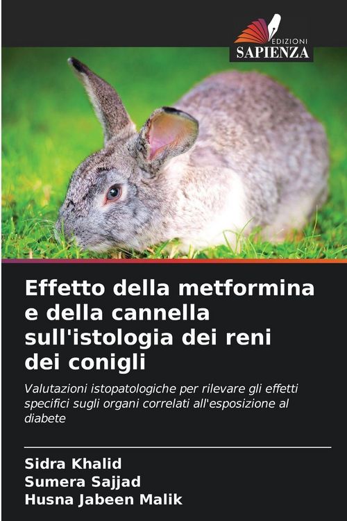 Produktbild: Effetto della metformina e della cannella sull'istologia dei reni dei conigli