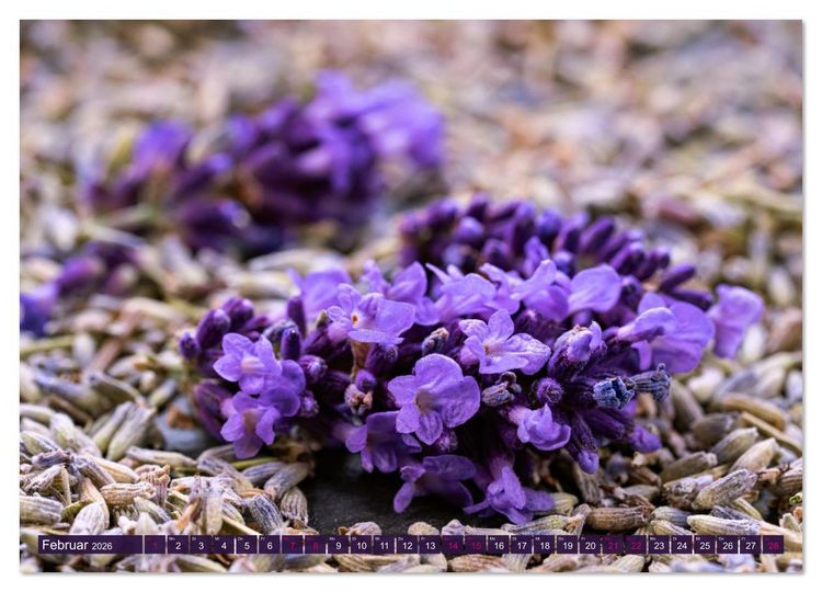 Produktbild: Essbare Bl&uuml;ten aus meinem Garten (Wandkalender 2026 DIN A3 quer), CALVENDO Monatskalender
