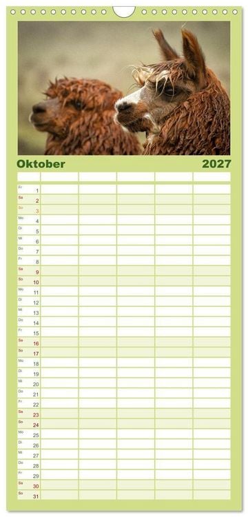 Produktbild: Familienplaner 2027 - Unter Lamas und Alpakas mit 5 Spalten (Wandkalender, 21 x 45 cm) CALVENDO
