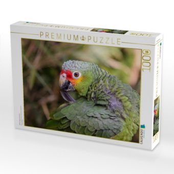 Produktbild: CALVENDO Puzzle Gelbwangenamazone | 1000 Teile Lege-Gr&ouml;&szlig;e 64x48cm Foto-Puzzle f&uuml;r gl&uuml;ckliche Stunden