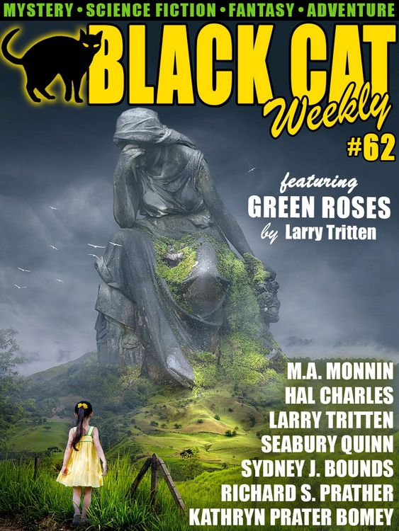 Produktbild: Black Cat Weekly #62