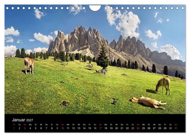 Produktbild: Wundersch&ouml;ne Haflingerwelt (Wandkalender 2027 DIN A4 quer), CALVENDO Monatskalender
