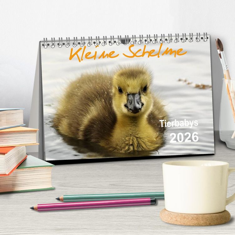 Produktbild: Kleine Schelme - Tierbabys (Tischkalender 2026 DIN A5 quer), CALVENDO Monatskalender