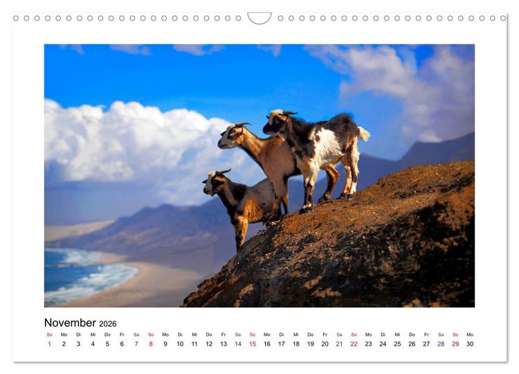 Produktbild: Fuerteventura - Perle im Atlantik (Wandkalender 2026 DIN A3 quer), CALVENDO Monatskalender