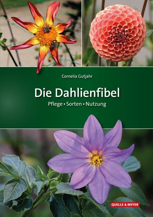 Produktbild: Die Dahlienfibel