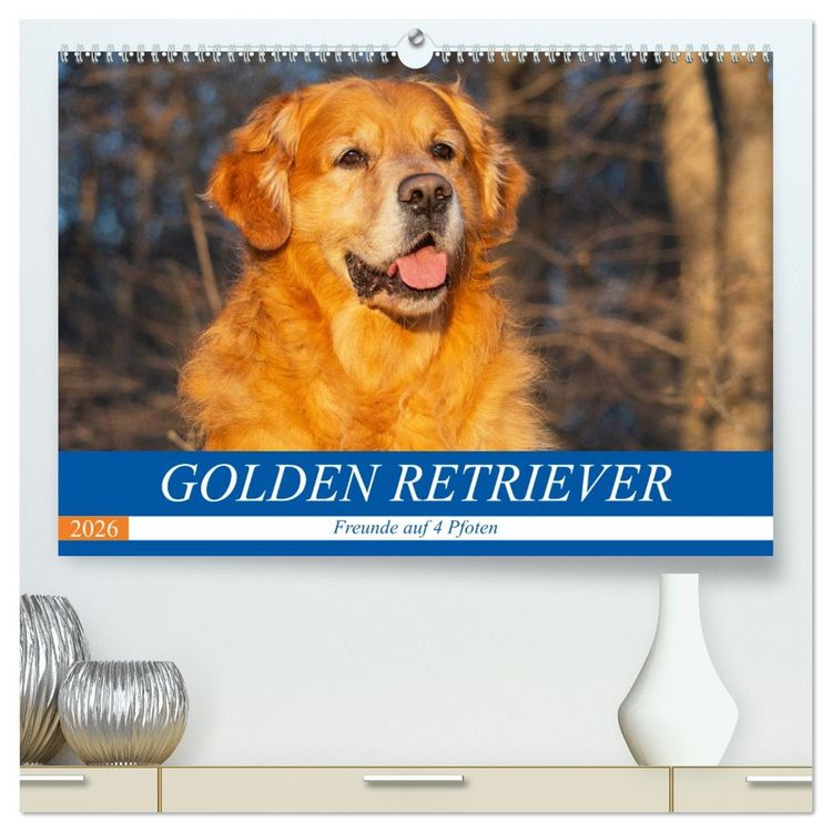 Produktbild: Golden Retriever - Freunde auf 4 Pfoten (hochwertiger Premium Wandkalender 2026 DIN A2 quer), Kunstdruck in Hochglanz