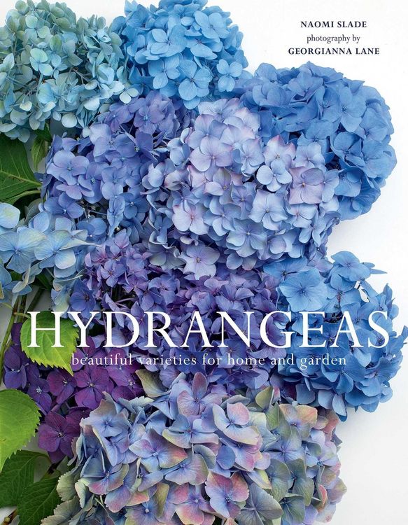 Produktbild: Hydrangeas