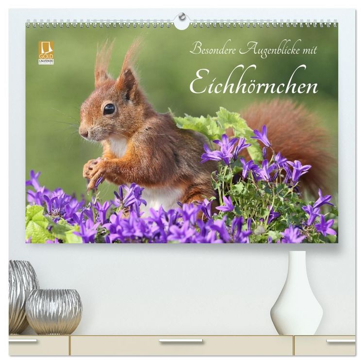 Produktbild: Besondere Augenblicke mit Eichh&ouml;rnchen (hochwertiger Premium Wandkalender 2027 DIN A2 quer), Kunstdruck in Hochglanz