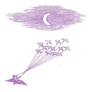 Produktbild: Migration Magic