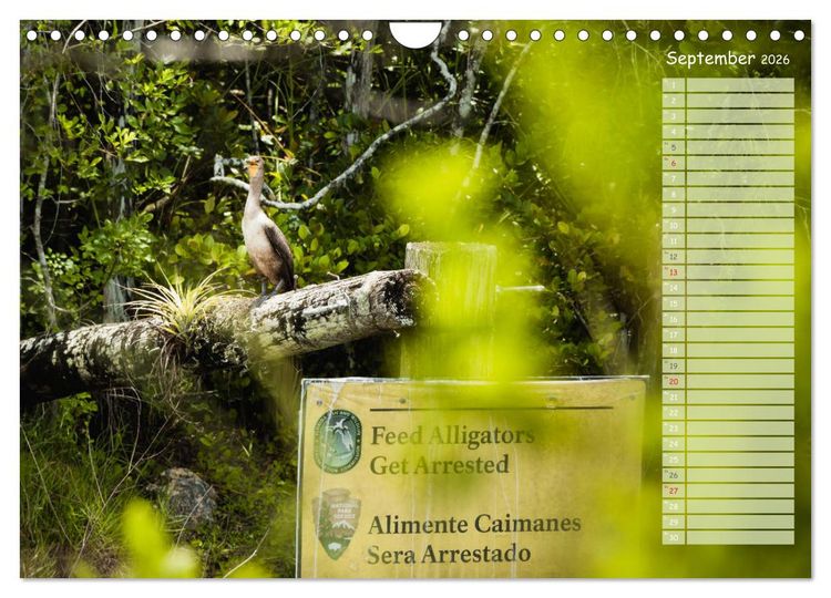 Produktbild: Amerikanische Ostk&uuml;ste (Wandkalender 2026 DIN A4 quer), CALVENDO Monatskalender