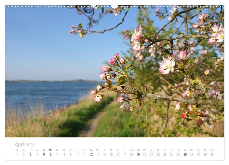 Produktbild: Zauberhafte Schlei (Wandkalender 2026 DIN A2 quer), CALVENDO Monatskalender