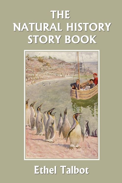 Produktbild: The Natural History Story Book (Yesterday's Classics)