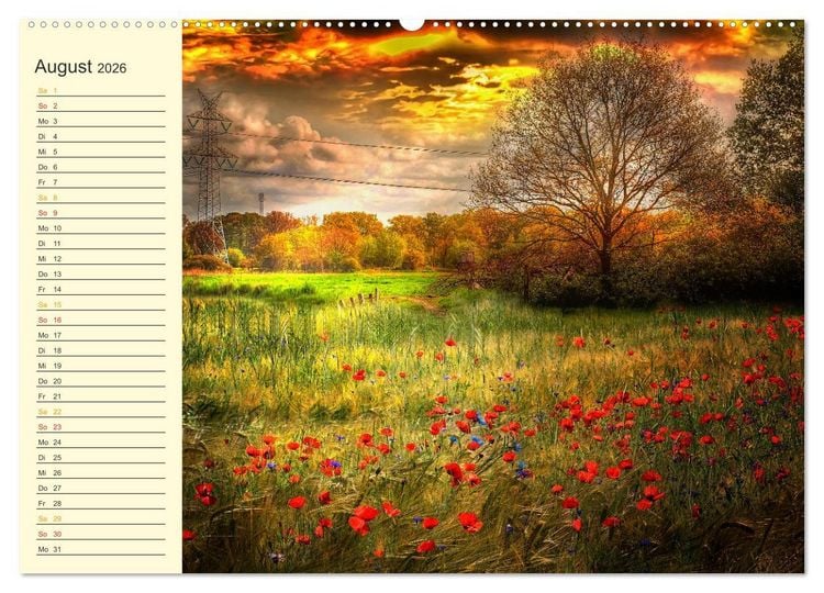 Produktbild: Friesland, verzauberte Landschaft an der Nordsee (hochwertiger Premium Wandkalender 2026 DIN A2 quer), Kunstdruck in Hochglanz