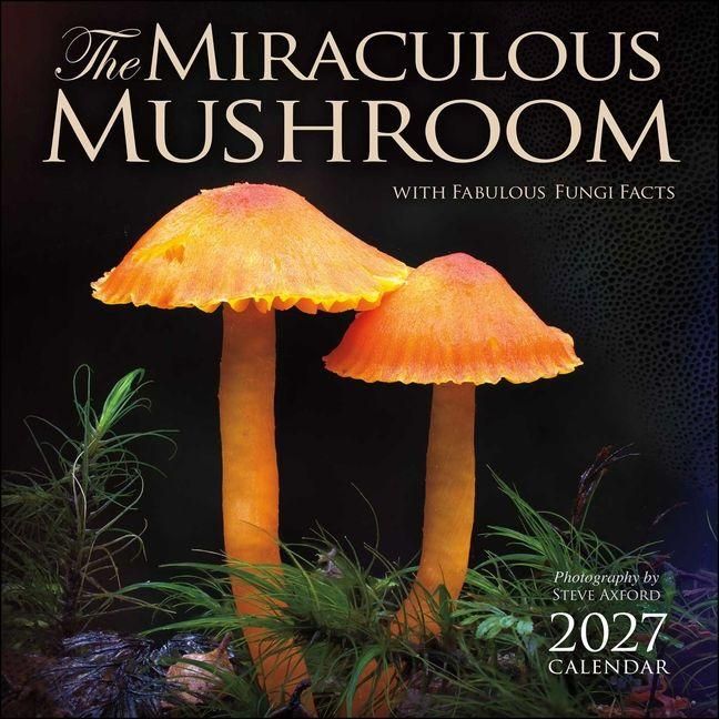Produktbild: The Miraculous Mushroom 2027 Wall Calendar