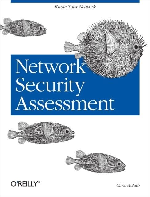 Produktbild: Network Security Assessment