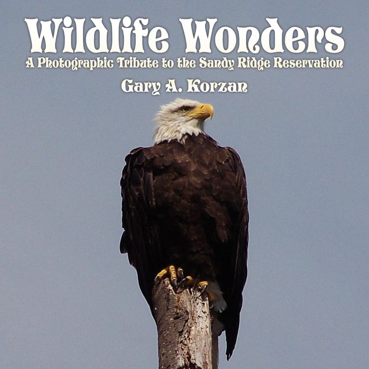 Produktbild: Wildlife Wonders