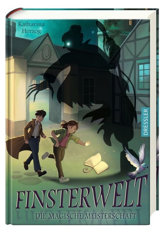 Produktbild: Finsterwelt 2. Die magische Meisterschaft
