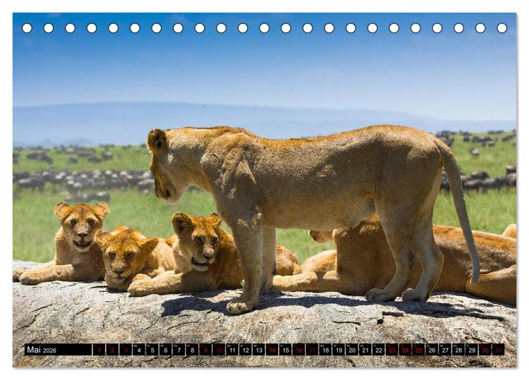Produktbild: Tansania - Tierwanderung in der Serengeti (Tischkalender 2026 DIN A5 quer), CALVENDO Monatskalender