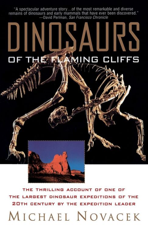 Produktbild: Dinosaurs of the Flaming Cliff