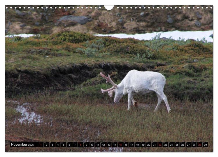 Produktbild: Schweden + Norwegen (Wandkalender 2026 DIN A3 quer), CALVENDO Monatskalender